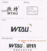 輝煌見證：微特新標志（VIS）發布應用